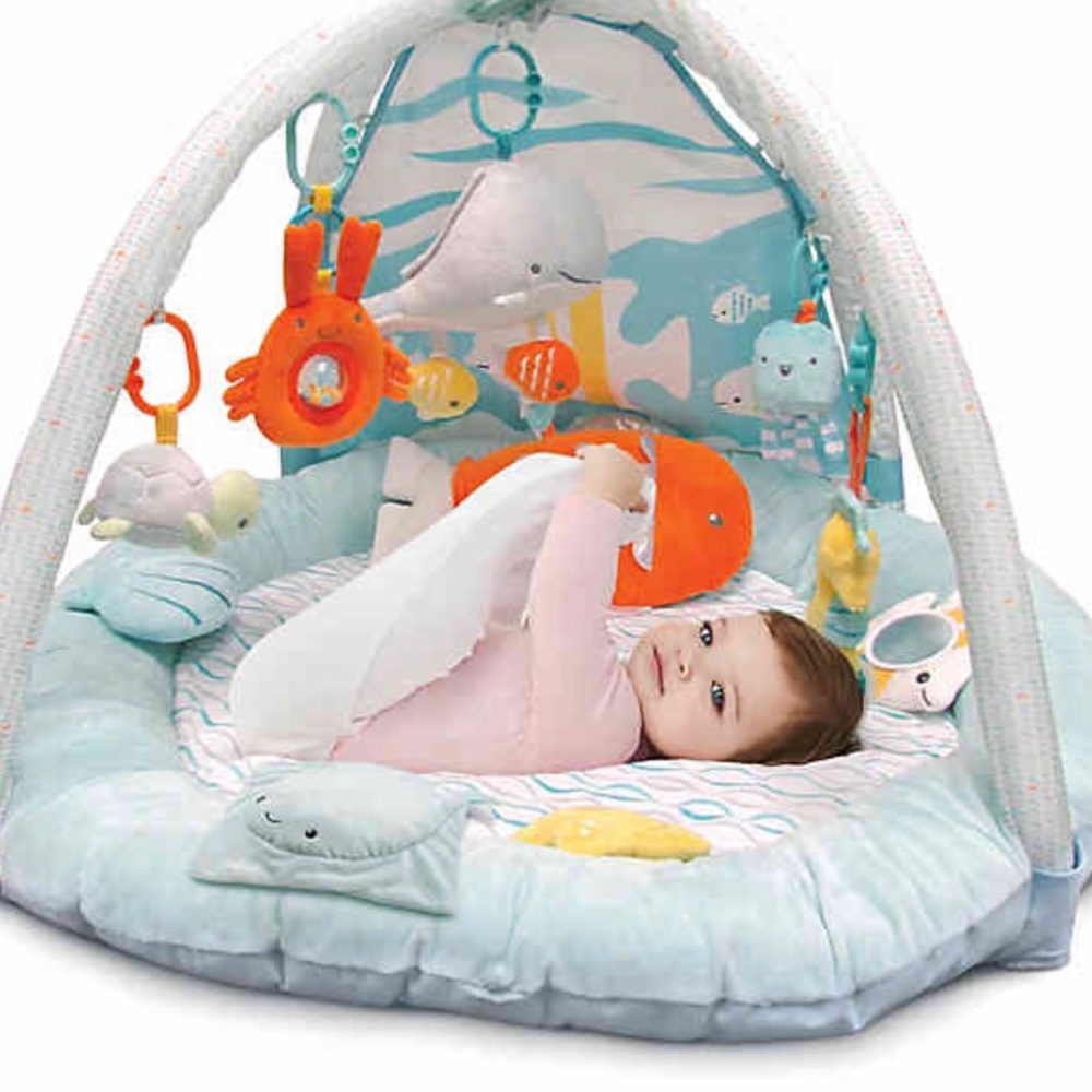 Carter’s “My Ocean Friends- Play Gym”